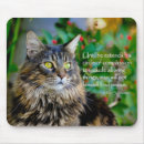 Recherche de citations chat tapis souris Chats