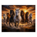 Recherche de chevaux sauvages posters Pour amateur de chevaux
