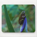 Recherche de grenouille tapis souris Vue de côté