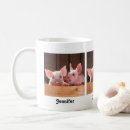 Recherche de porc rose maison deco Animal de ferme