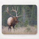 Recherche de adult mousepads Taureau