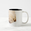 Recherche de shar pei tasses Animal