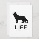 Recherche de berger invitations Animaux de compagnie