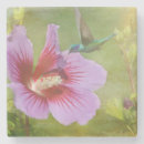 Recherche de collecteur dessous de verres Nature