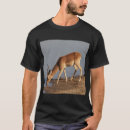 Recherche de impala vêtements Safari