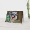 Recherche de chien chanceux vœux cartes Animal