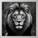 Recherche de lion m art Noir et blanc