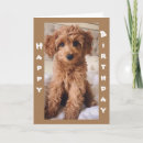 Recherche de marcheurs vœux cartes Chiot