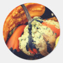 Recherche de gourde autocollants Automne