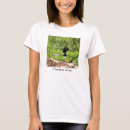 Recherche de emboîtement tshirts Nature