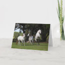 Recherche de l andalousie vœux cartes Bob langrish