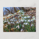 Recherche de percé cartes postales Plage