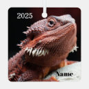 Recherche de de dragon ornements Animal