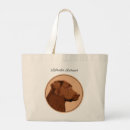 Recherche de laboratoire de chocolat sacs Peinture