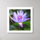 Recherche de lotus art Toile