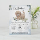 Recherche de cockapoo Moderne