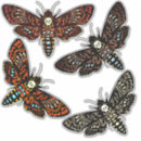 Recherche de tête de mort autocollants Insecte