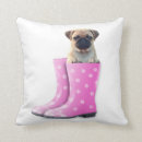 Recherche de de chiot de carlin coussins Carlins