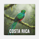 Recherche de quetzals Forêt tropicale