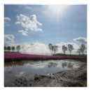 Recherche de champ de tulipe posters Pour tous