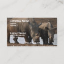 Recherche de rhinoceros cartes visite Faune