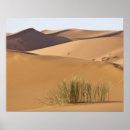 Recherche de désert du sahara posters Afrique