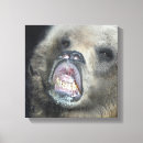 Recherche de ours gris art Animaux