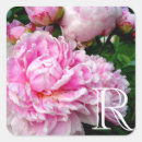 Recherche de peony autocollants Pivoines blanches