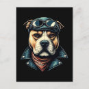 Recherche de pitbull cartes postales Vintage