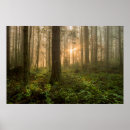 Recherche de cedar posters Paysage