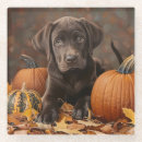 Recherche de chocolat labrador dessous de verres Extracteur