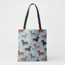 Recherche de teckels accessoires Doxie