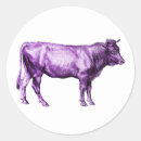 Recherche de vache pourpre autocollants Vaches