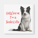 Recherche de border collie magnets Chiot