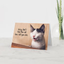 Recherche de kitch cartes postales Chat