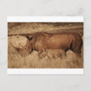 Recherche de wwf Animal