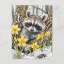 Recherche de laveur cartes postales Arbre