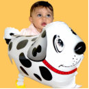 Recherche de acryl magnete Chien