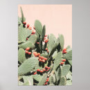 Recherche de figuier de barbarie posters Nature