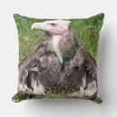 Recherche de vautours coussins Oiseaux sauvages