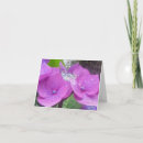 Recherche de galerie vœux cartes Pour elle