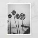 Recherche de palmier noir et blanc cartes postales Palmiers
