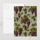 Recherche de amateur de vin cartes postales Raisins