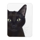 Recherche de chat noir magnets Amoureux des animaux