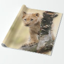 Recherche de monde animal papier cadeau Nature