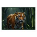 Recherche de bamboo posters Contenu générationnel