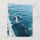 Recherche de équitation cartes postales Photographie