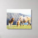 Recherche de poney impressions sur toile Ranch