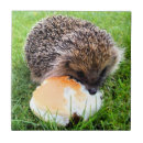 Recherche de hérisson carreaux Drôle