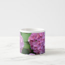 Recherche de hortensias tasses Jardin